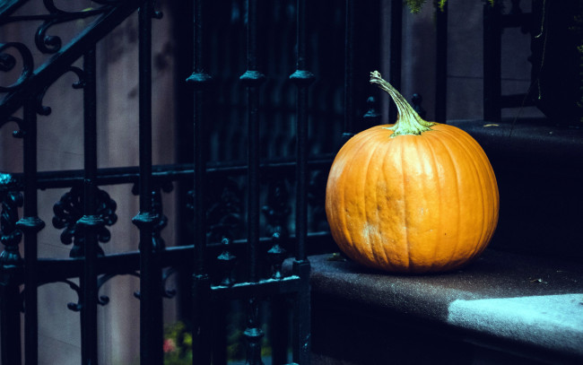 Обои картинки фото еда, тыква, оранжевый, крыльцо