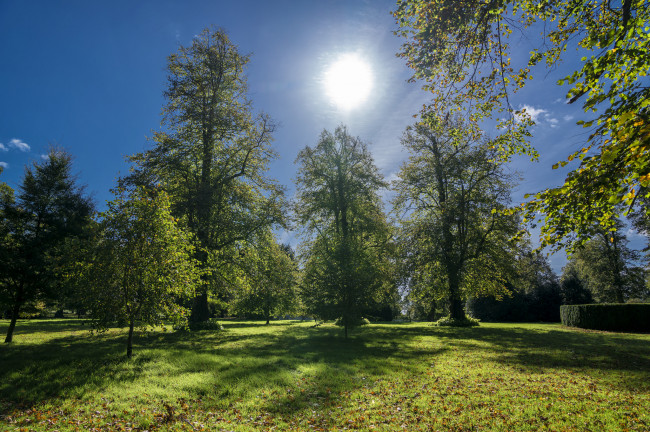 Обои картинки фото природа, пейзажи, простор