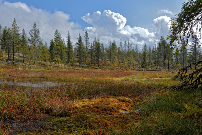 Обои картинки фото природа, пейзажи, простор