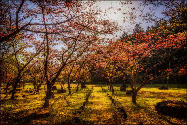 Обои картинки фото природа, пейзажи, простор