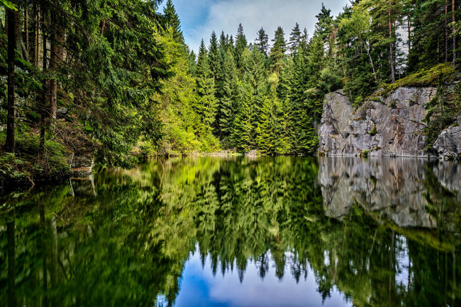 Обои картинки фото природа, реки, озера, лес, река