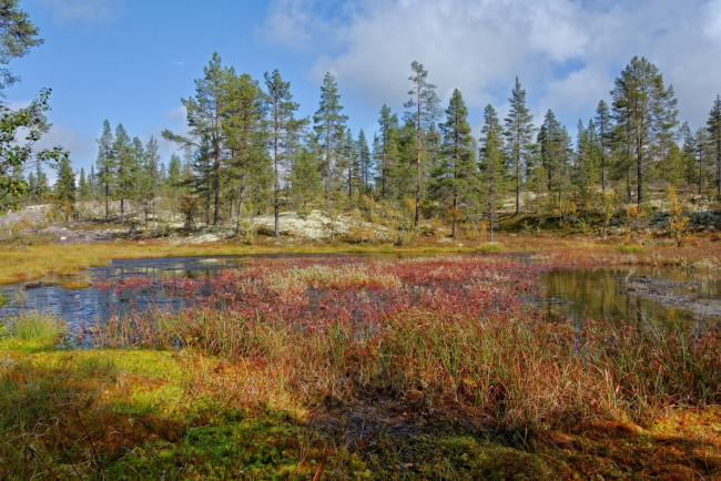 Обои картинки фото природа, реки, озера, простор