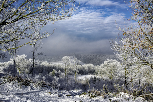 Обои картинки фото природа, зима, простор