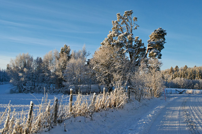 Обои картинки фото природа, зима, простор