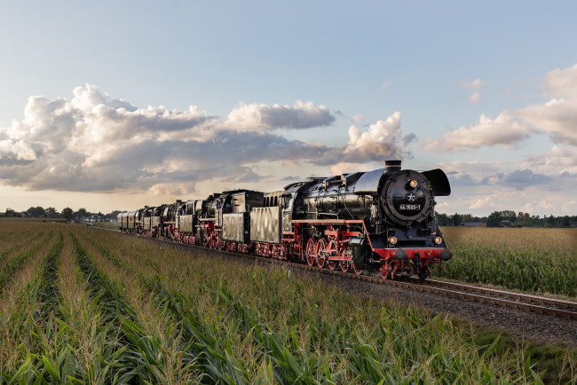 Обои картинки фото техника, паровозы, локомотив, состав