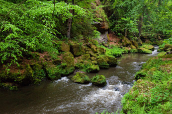 Картинка природа реки озера лес река камни