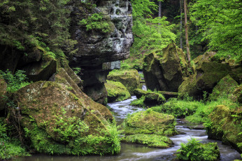 Картинка природа реки озера лес река камни