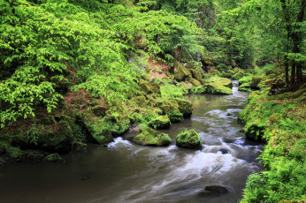 Картинка природа реки озера лес река камни