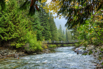 Картинка природа реки озера лес река камни