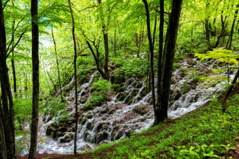 Картинка природа водопады лес река камни