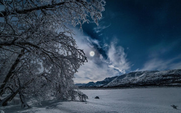 Картинка природа зима деревья снег