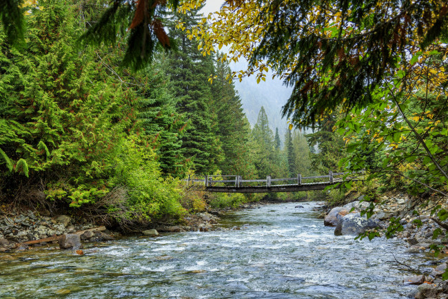 Обои картинки фото природа, реки, озера, лес, река, камни