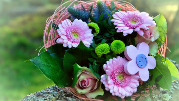 Картинка цветы букеты +композиции розы хризантемы