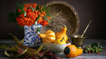 Картинка еда натюрморт тыква рябина желуди