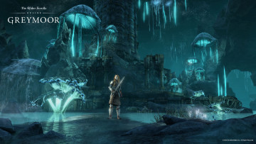 обоя видео игры, the elder scrolls online, the, elder, scrolls, online, игра, ролевая, онлайн