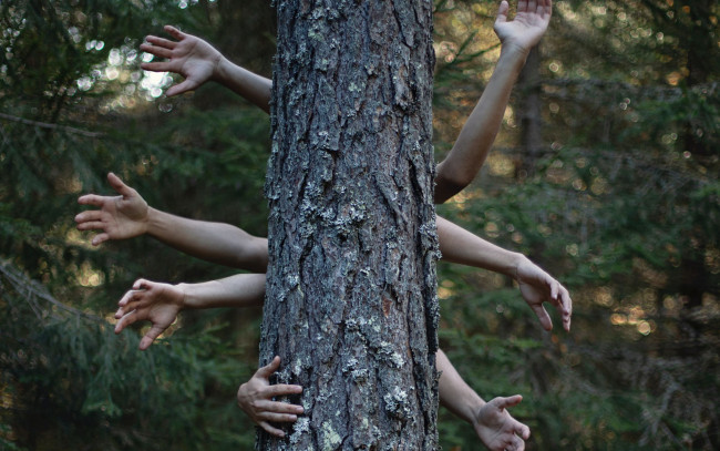 Обои картинки фото разное, руки,  ноги, дерево, ствол