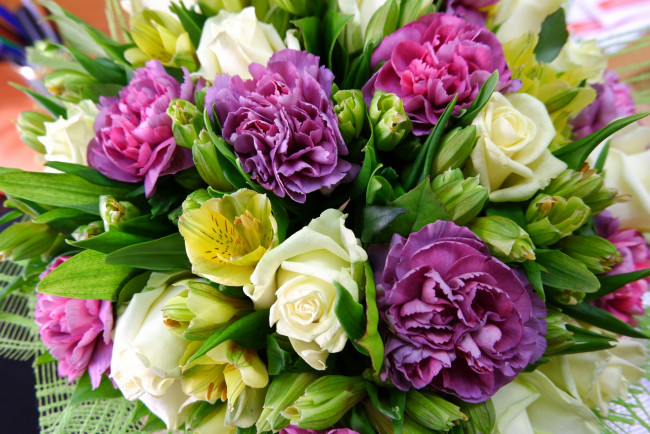 Обои картинки фото цветы, букеты,  композиции, гвоздика, розы, альстромерия