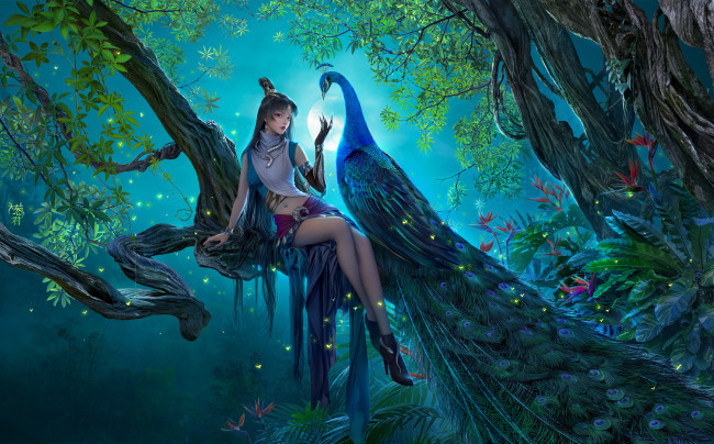 Обои картинки фото фэнтези, маги,  волшебники, девушка, волшебница, ночь, павлин