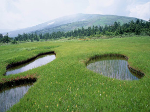 Картинка природа реки озера пейзаж