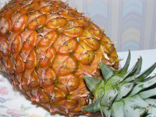 Картинка еда ананас
