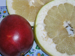 Картинка еда фрукты ягоды