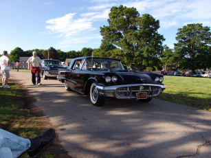 Картинка автомобили ford