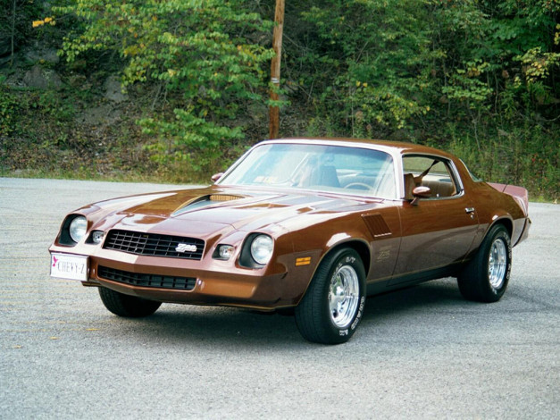 Обои картинки фото автомобили, camaro