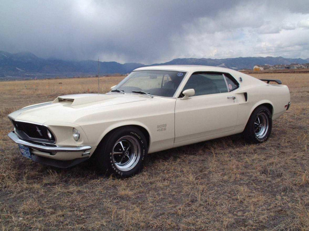 Обои картинки фото автомобили, ford