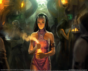 Картинка neverwinter nights storm of zehir видео игры
