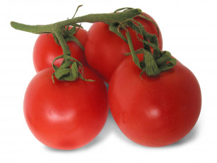 Картинка еда помидоры томаты