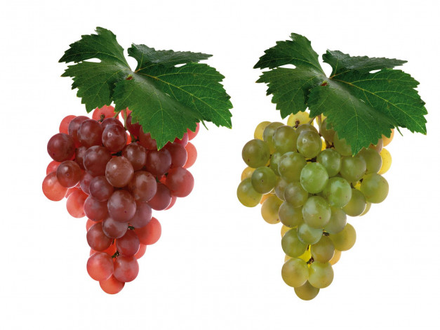 Обои картинки фото еда, виноград