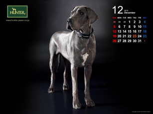 Картинка бренды hunter