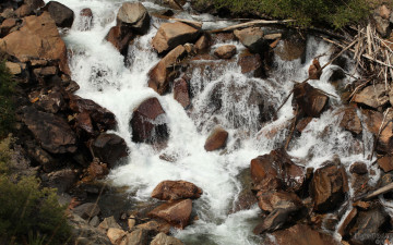 Картинка природа реки озера