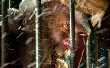 Картинка rare exports кино фильмы