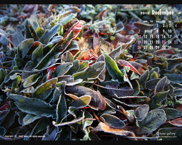 Обои картинки фото календари, природа