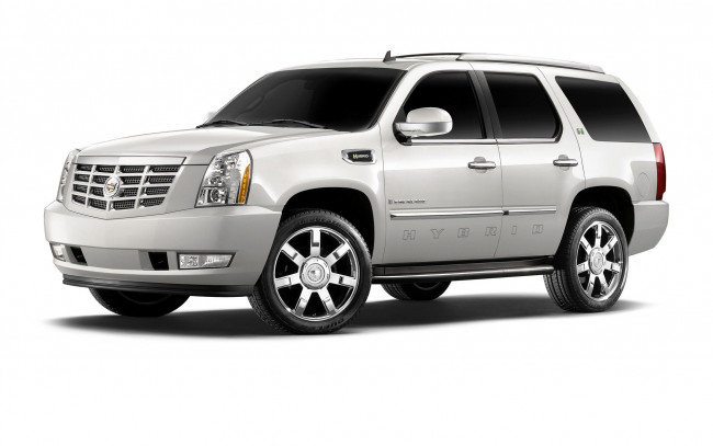 Обои картинки фото автомобили, cadillac