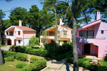 Картинка города здания дома сосны домики