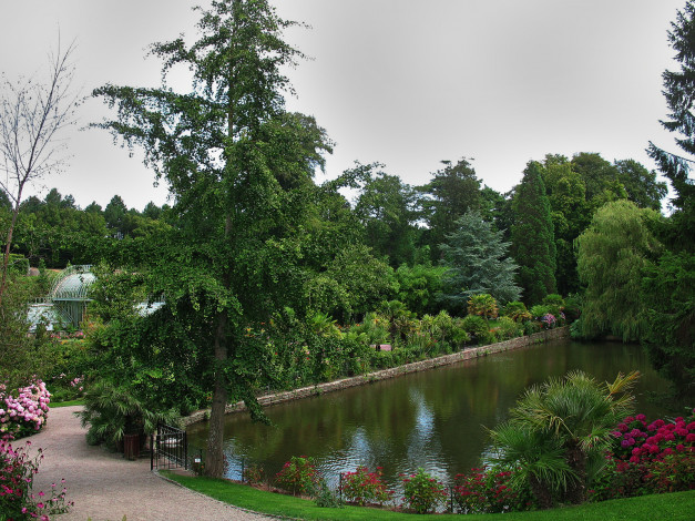 Обои картинки фото природа, парк, цветы, водоем, дорожка