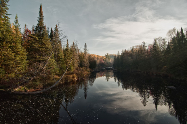 Обои картинки фото природа, реки, озера, пейзаж, река, деревья