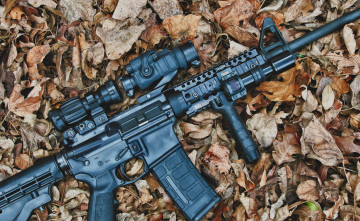 Картинка оружие автоматы ствол прицел листья