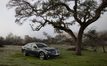 Картинка автомобили infiniti m