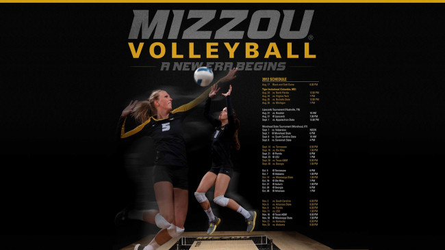 Обои картинки фото спорт, волейбол, чемпионат, женщины