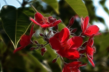 Картинка разное компьютерный+дизайн лепестки