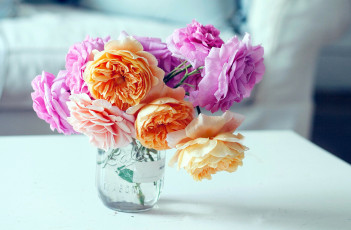 Картинка цветы розы розовый