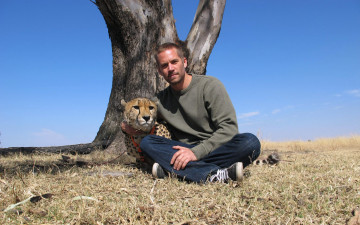 обоя paul walker, мужчины, дерево