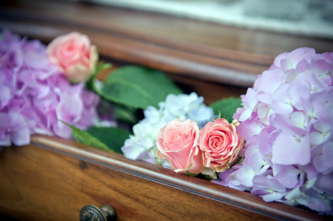 Обои картинки фото цветы, разные вместе, розы, гортензия