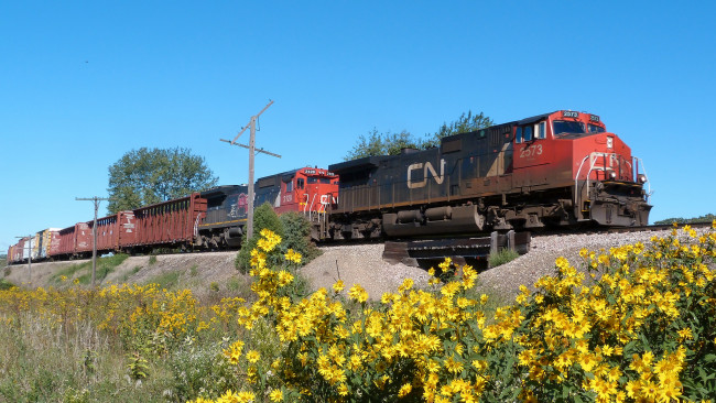 Обои картинки фото техника, поезда, состав, локомотив, дорога, железная