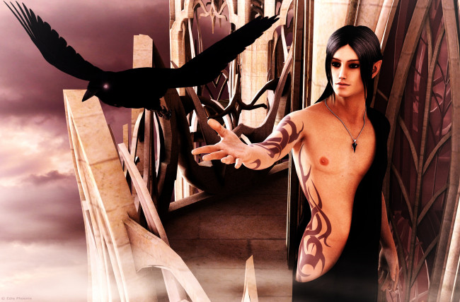 Обои картинки фото 3д графика, эльфы , elves, ворона, птица, парень