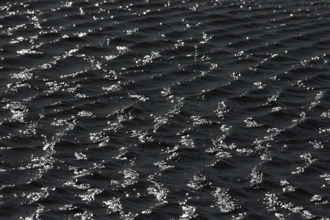 Обои картинки фото природа, вода, рябь, чёрно-белая, тёмная, волны