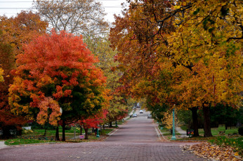 Картинка природа дороги осень фонарь дорога